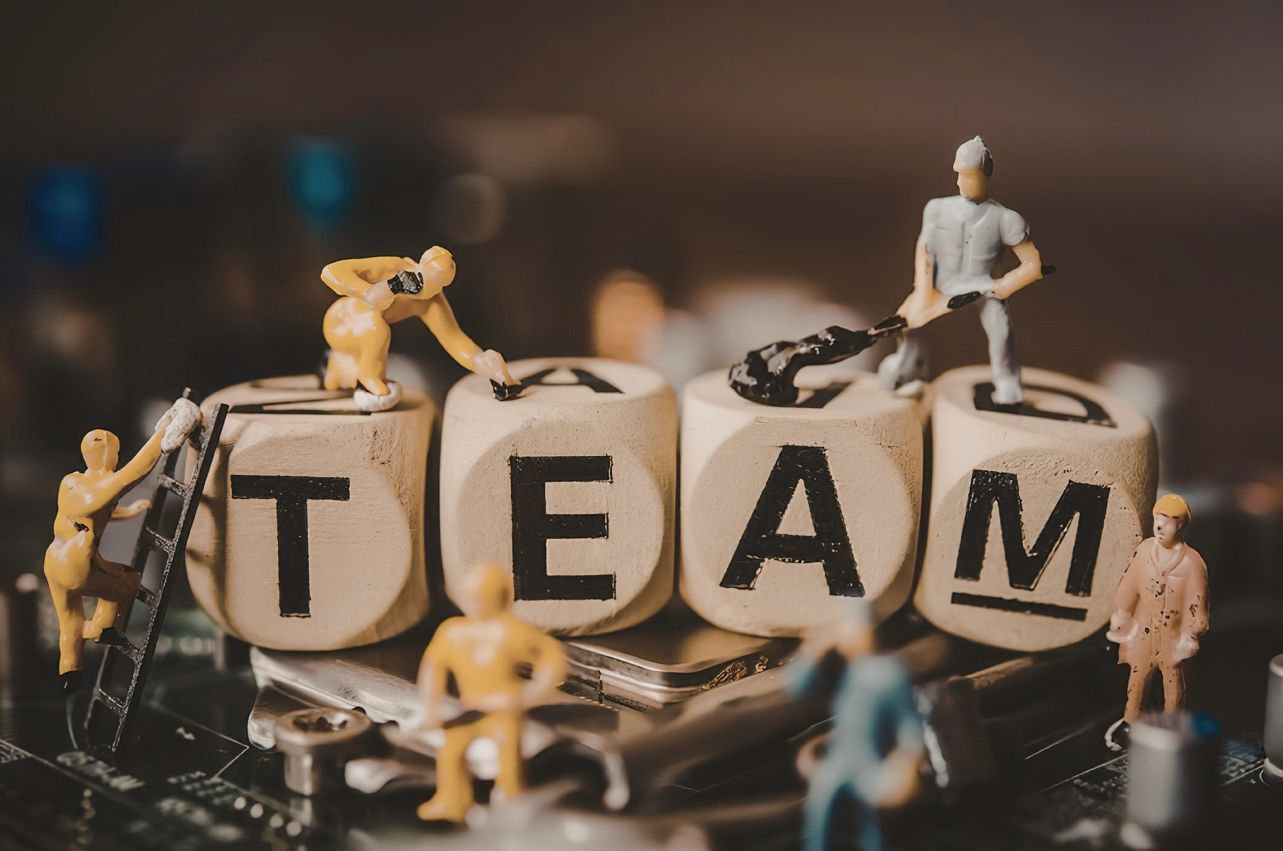 Teamsupervision und Teamentwicklung in einer gemeinsamen Arbeitssituation